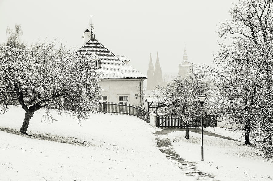 Winter Petrin Park Monochrome. Snowy walk in Prague Photograph by Jenny Rainbow