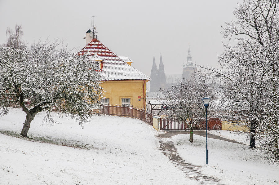 Winter Petrin Park. Snowy walk in Prague Photograph by Jenny Rainbow