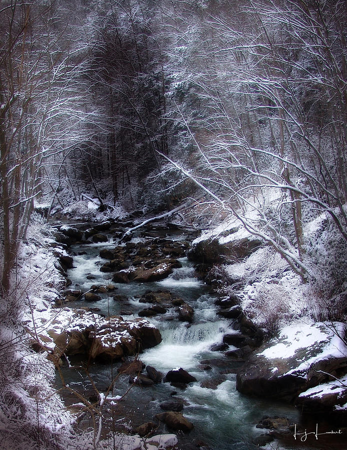 Winter Photography Photograph by Lisa Lambert-Shank