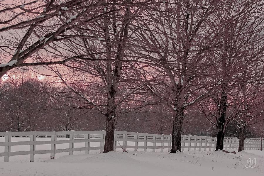 Winter Photograph - Winter Pink by Geri Glavis