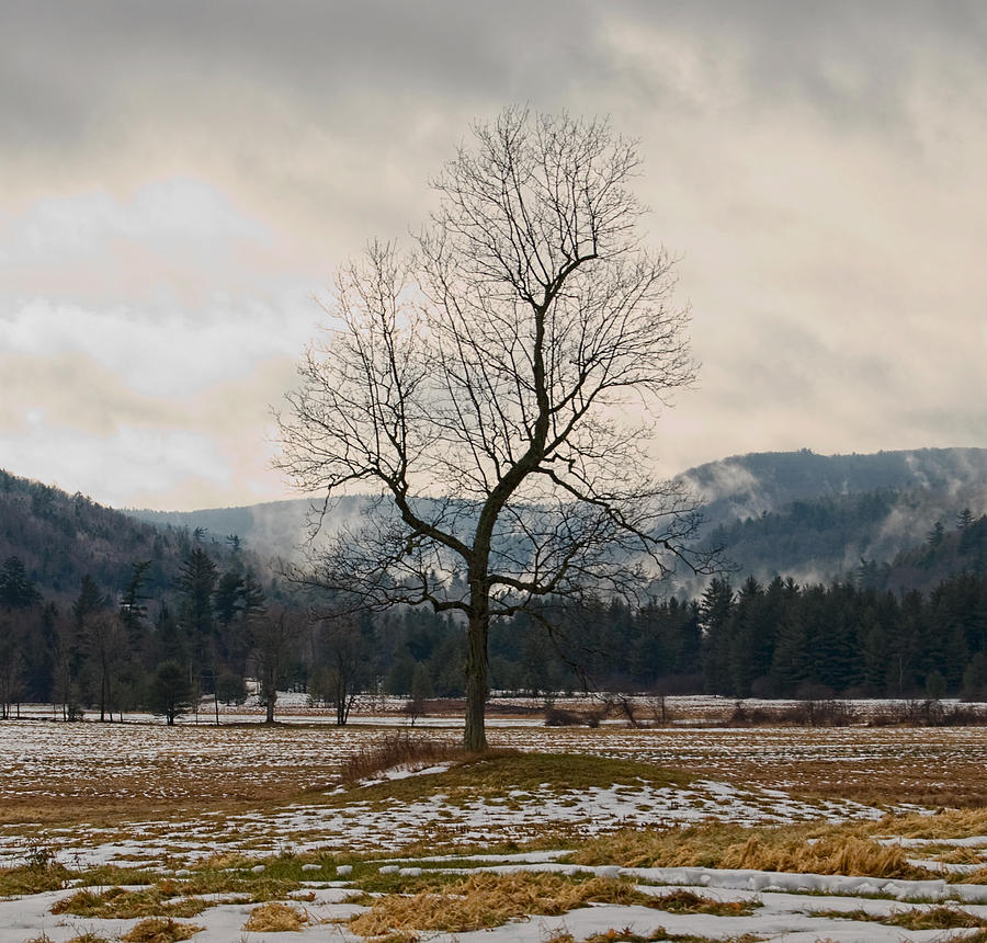 Winter Plains Photograph By Tom Heeter - Fine Art America