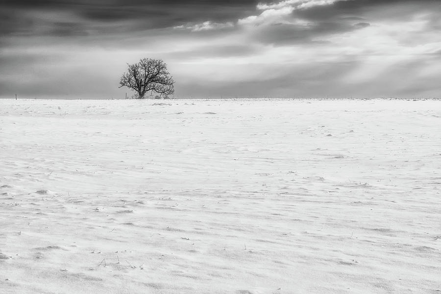 Winter Photograph by Plamen Petkov