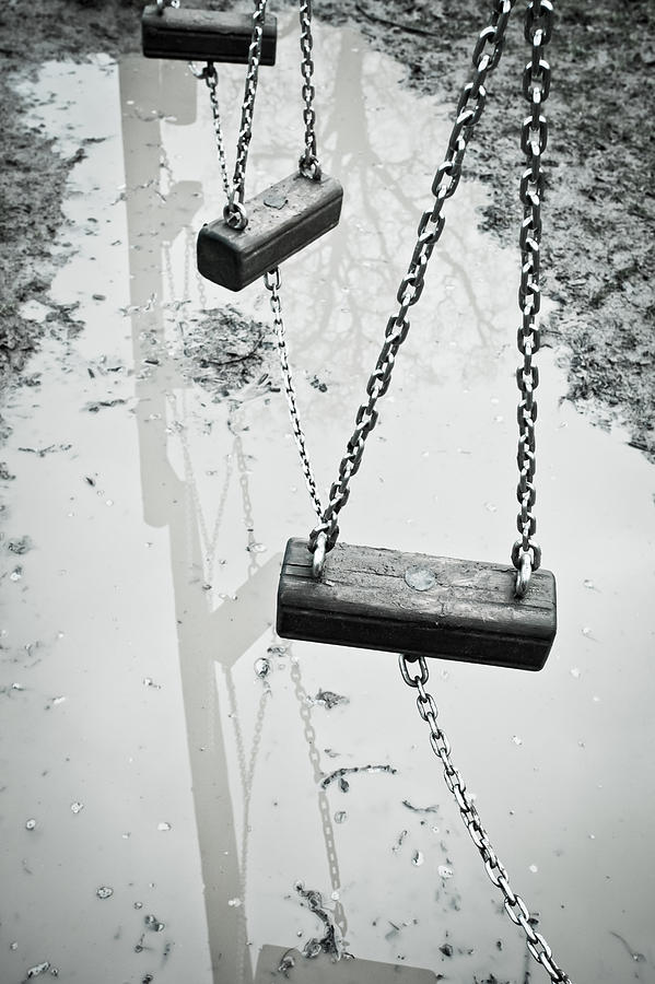 Bog Photograph - Winter playground by Tom Gowanlock