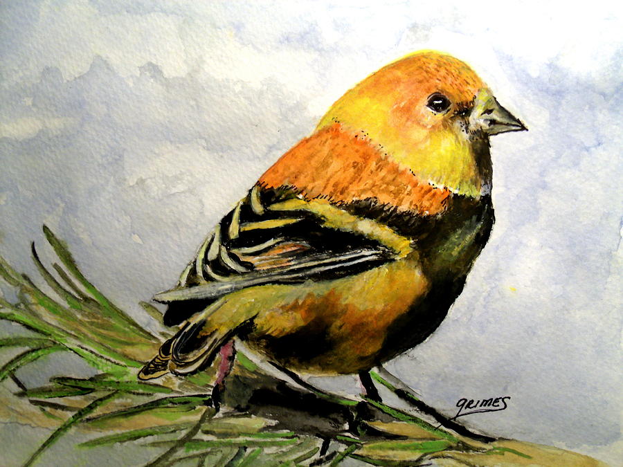 Winter Plumage on Golden Finche Painting by Carol Grimes