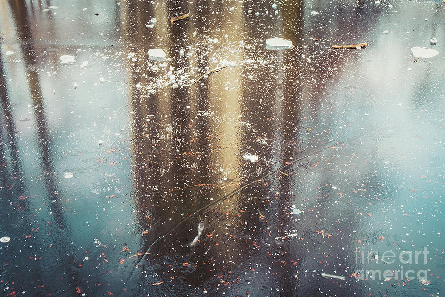 Winter pond and reflections Photograph by Marina Usmanskaya