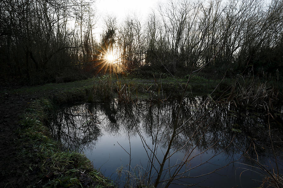Winter Pond Photograph by David Harding