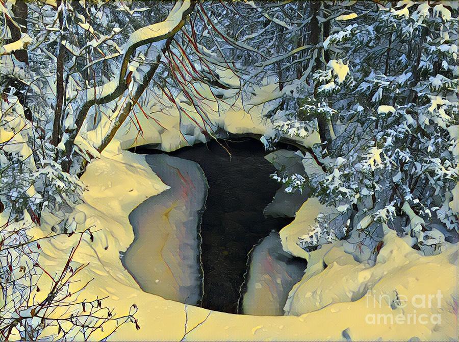 Winter Pond Photograph by David Rucker