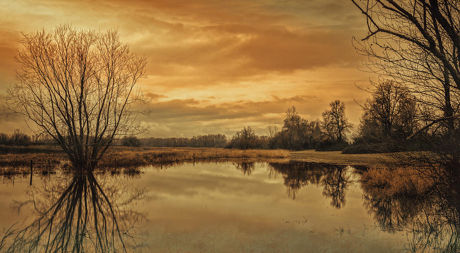 Winter Pond Photograph by Don Schwartz
