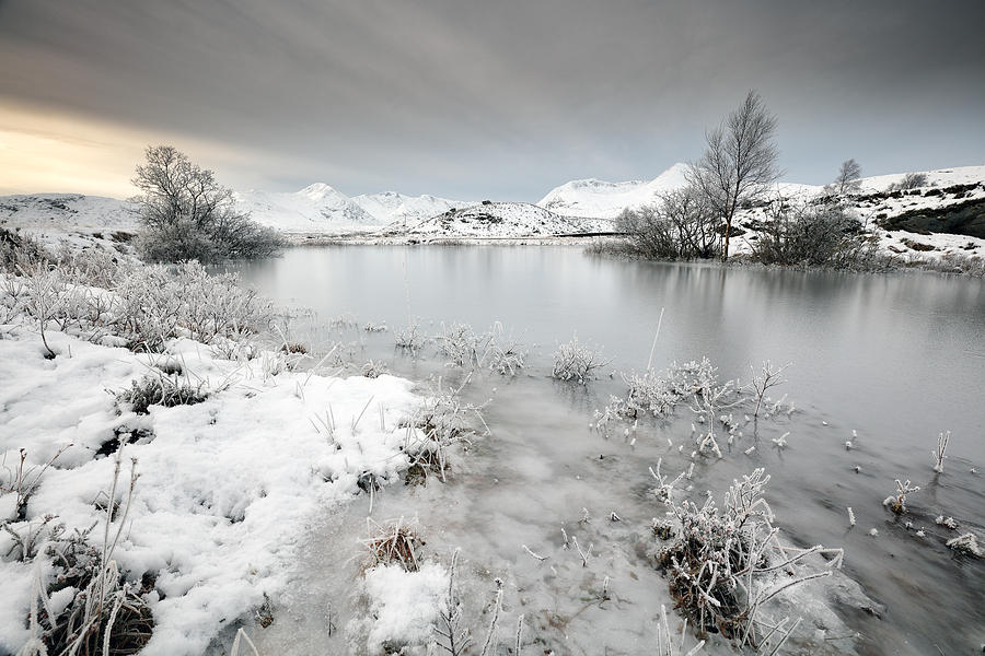 Winter Pond Photograph by Grant Glendinning