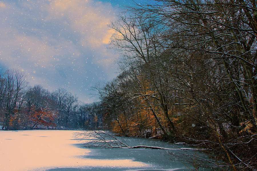Winter Pond Photograph by John Rivera