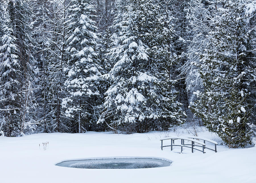 Winter Pond Scenic Photograph by Alan L Graham