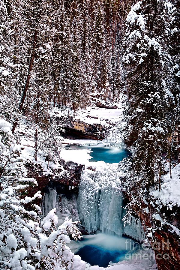 Banff National Park Photograph - Winter Pools by DJ MacIsaac