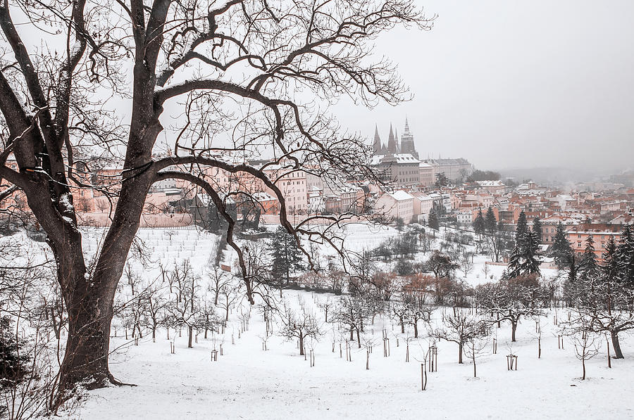 Winter Prague. Snowy walk in Prague Photograph by Jenny Rainbow