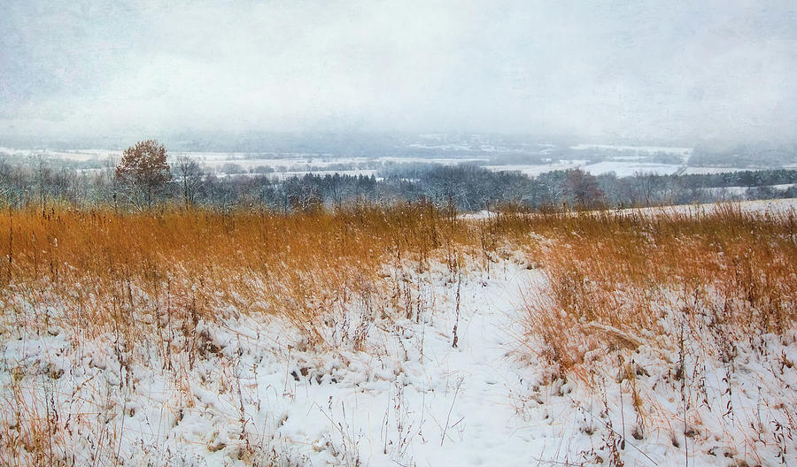 Winter Prairie at Retzer Nature Center  Photograph by Jennifer Rondinelli Reilly - Fine Art Photography