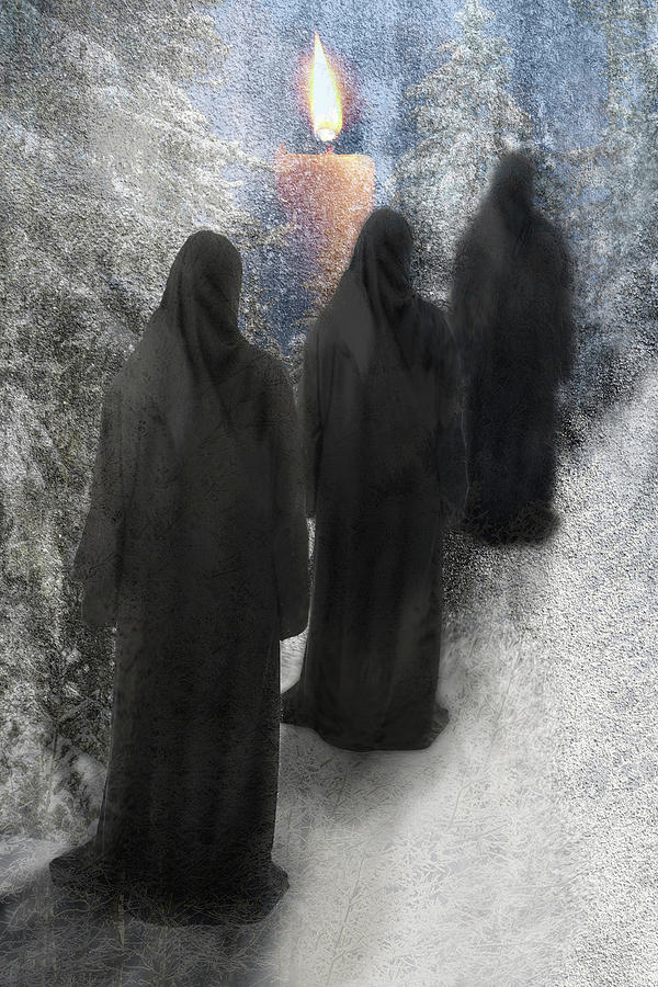Winter Procession Digital Art by Lisa Yount
