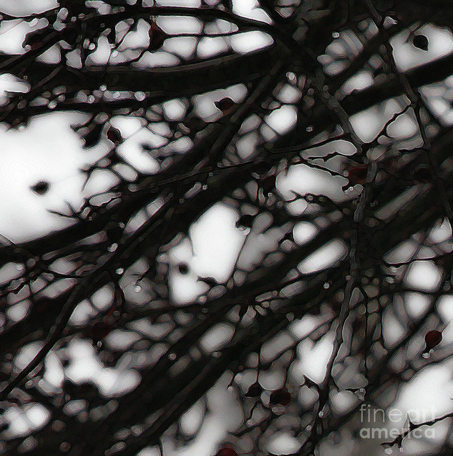 Winter Rain - 2 Photograph by Linda Shafer