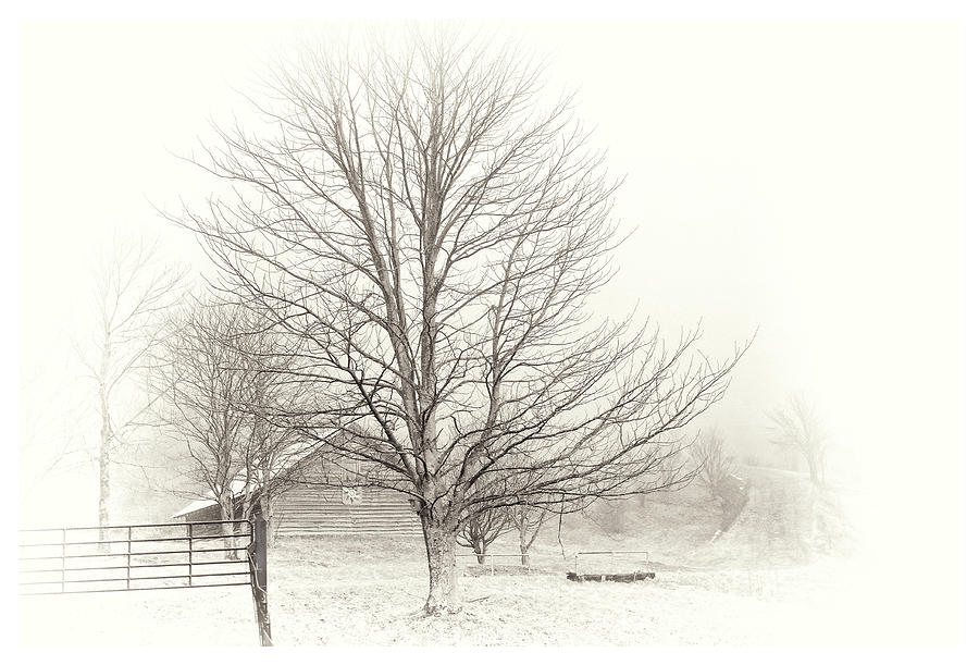 Winter Ranch Photograph