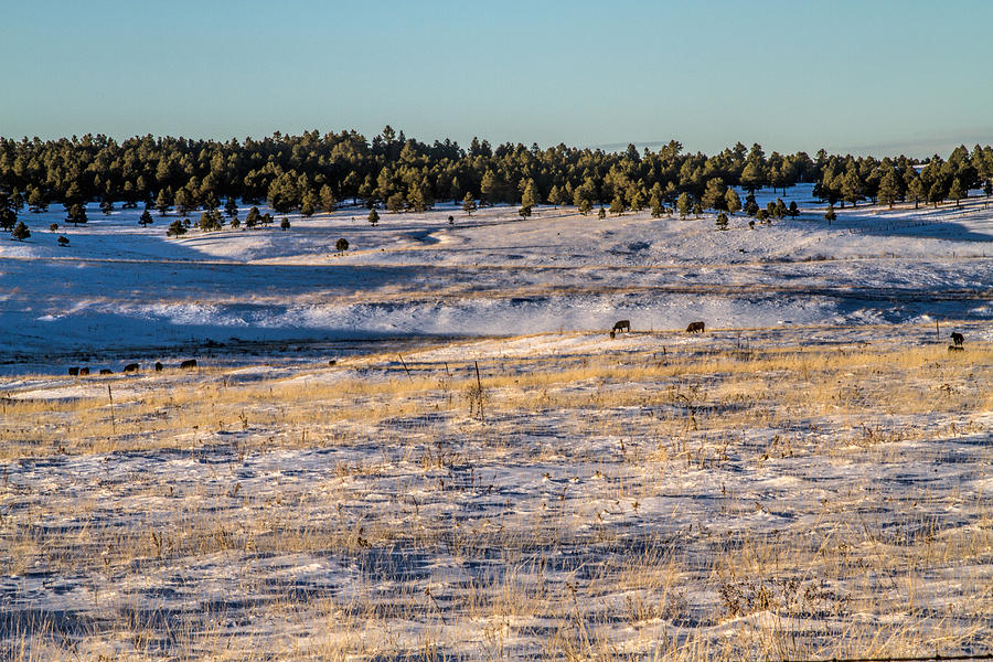 Winter Range Photograph by Alana Thrower