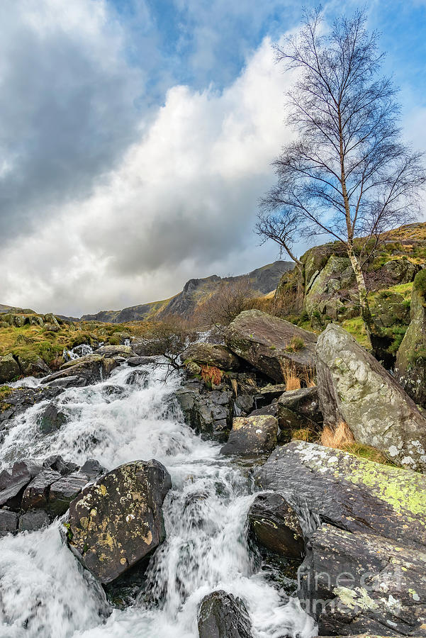 Winter Rapids of Snowdonia Photograph by Adrian Evans