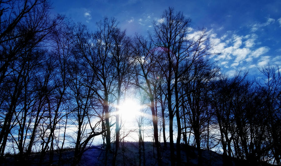 Winter Photograph - Winter Rays by Dark Whimsy