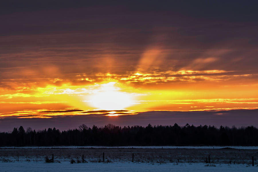 Winter Rays Photograph by Brook Burling