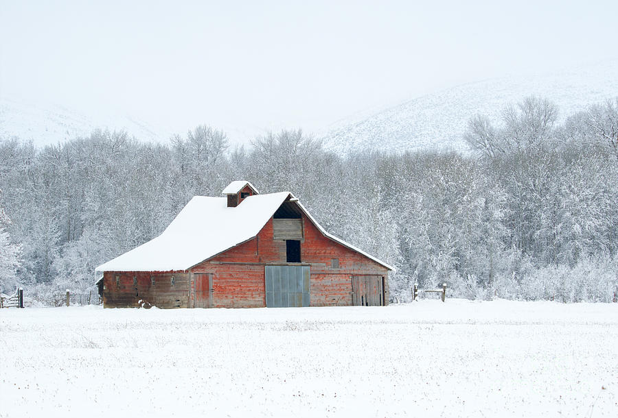 Winter Photograph - Winter Red Barn by Michael Dawson