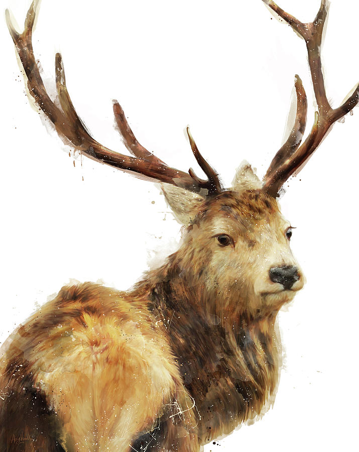 Winter Red Deer Painting by Amy Hamilton