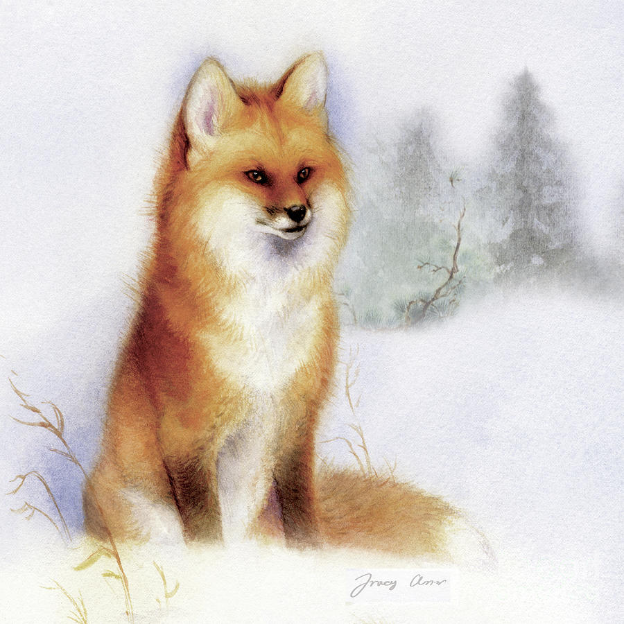 Winter Red Fox Painting by Tracy Herrmann