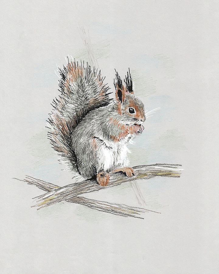 Winter Red Squirrel Painting by Masha Batkova
