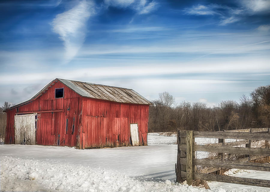 Winter Red White and Blue by Elaine Farrington Johnson Winter Red White and Blue by Elaine Farrington Johnson