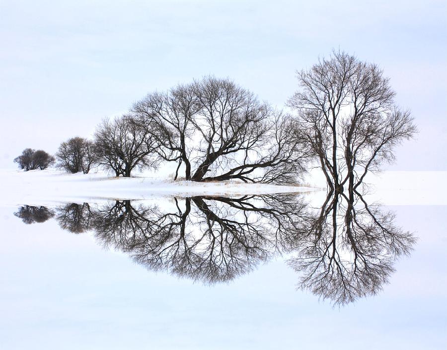 Winter Reflection  Photograph by David Matthews