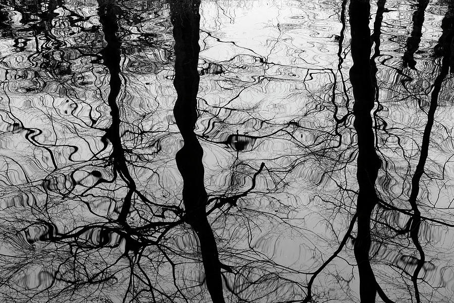 Winter Reflection Photograph by Inge Riis McDonald