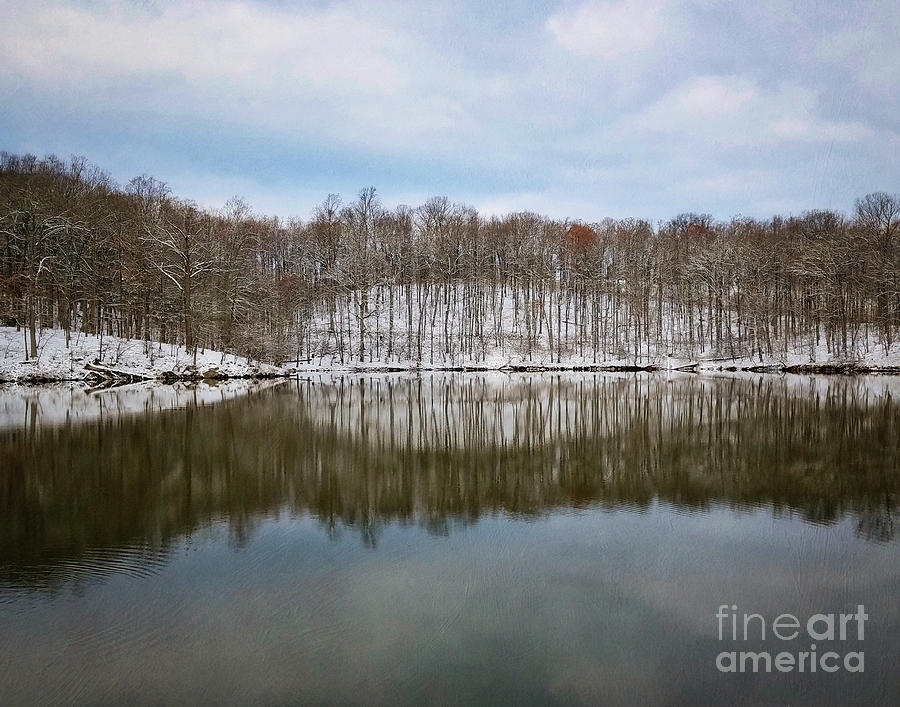 Winter reflection Photograph by Izet Kapetanovic