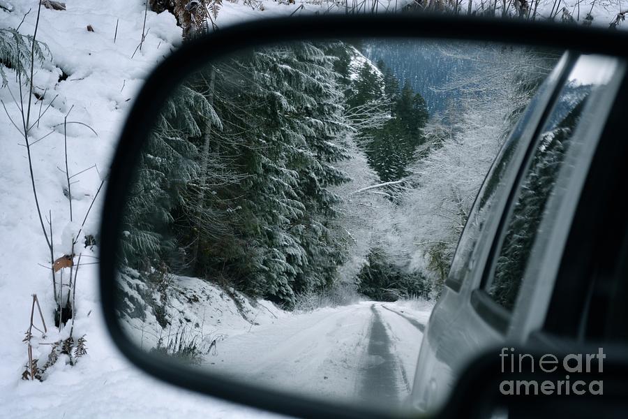 Winter Photograph - Winter Reflection by Lisa Telquist