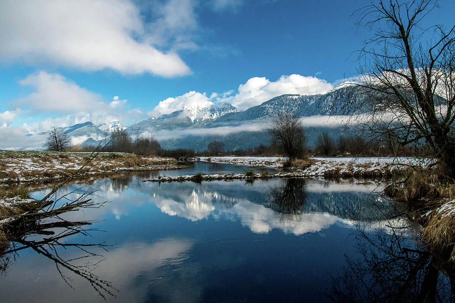 Winter Reflection by Michael Potts Winter Reflection by Michael Potts