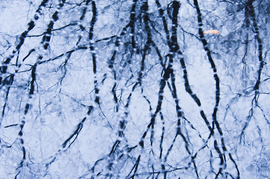 Winter reflections Photograph by Brian Green