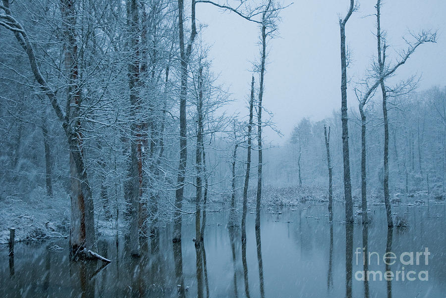 Winter Reflections Photograph by David Waldrop