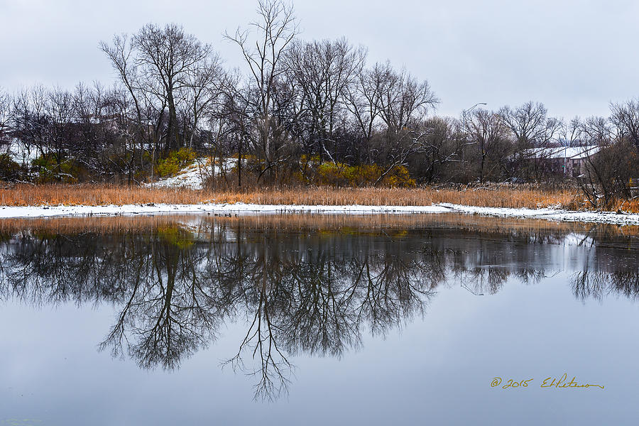 Winter Reflections Photograph by Ed Peterson