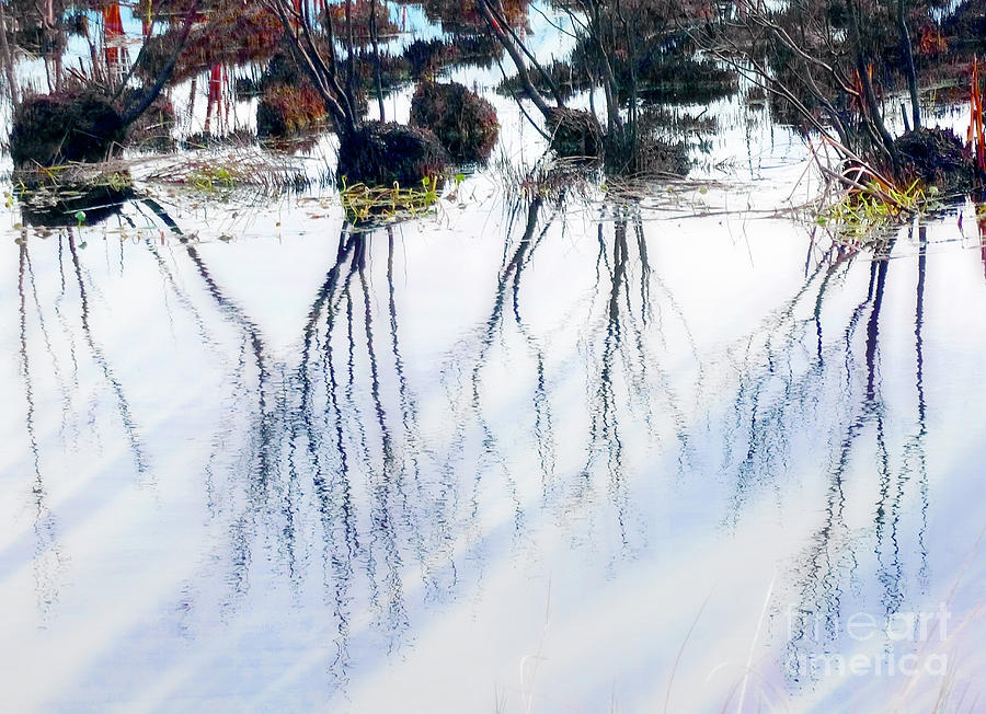 Winter Reflections Photograph by Judi Bagwell