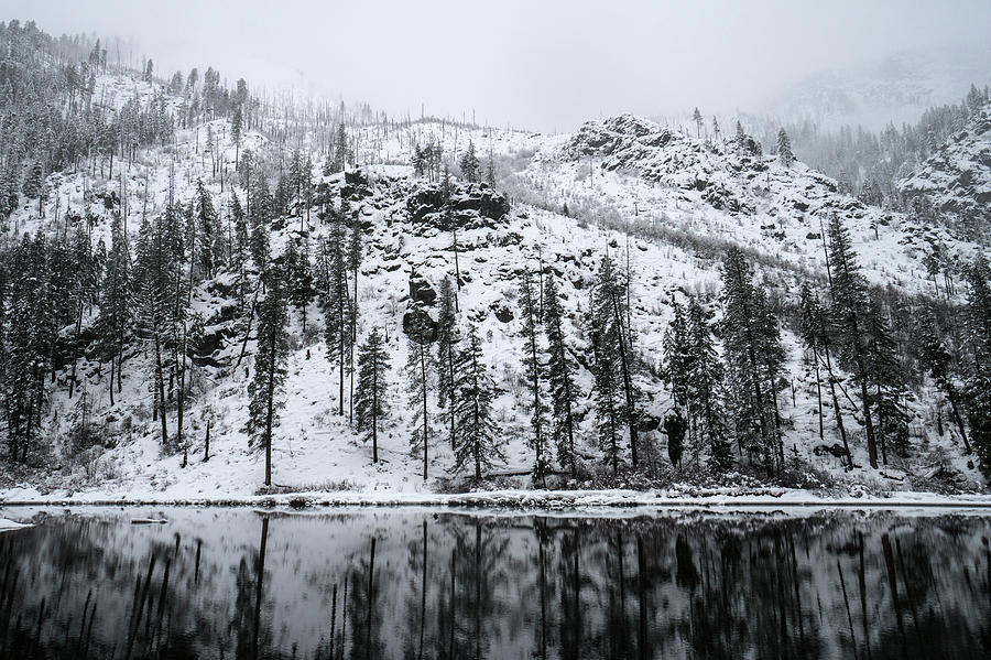 Winter Reflections Photograph by Matt McDonald