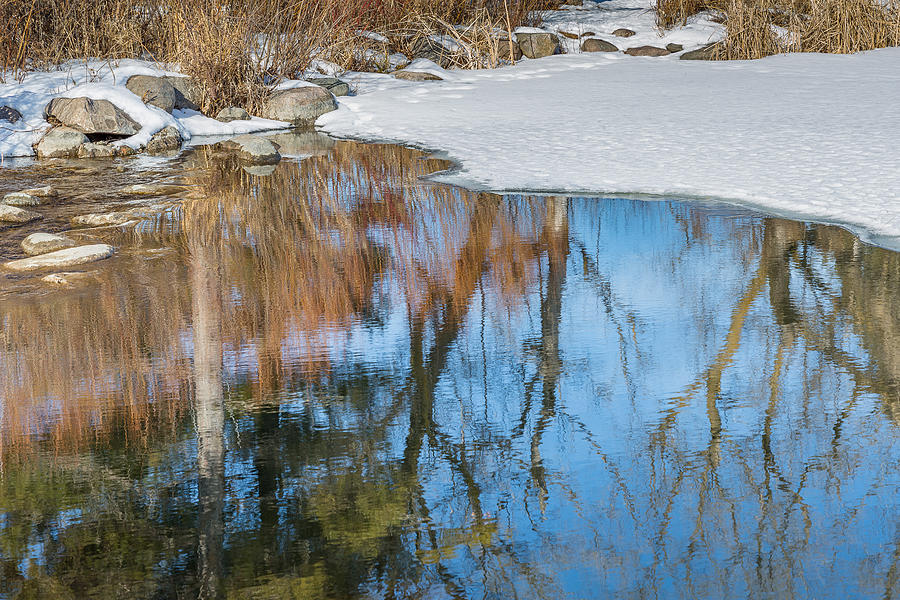 Winter Reflections Photograph by Penny Meyers