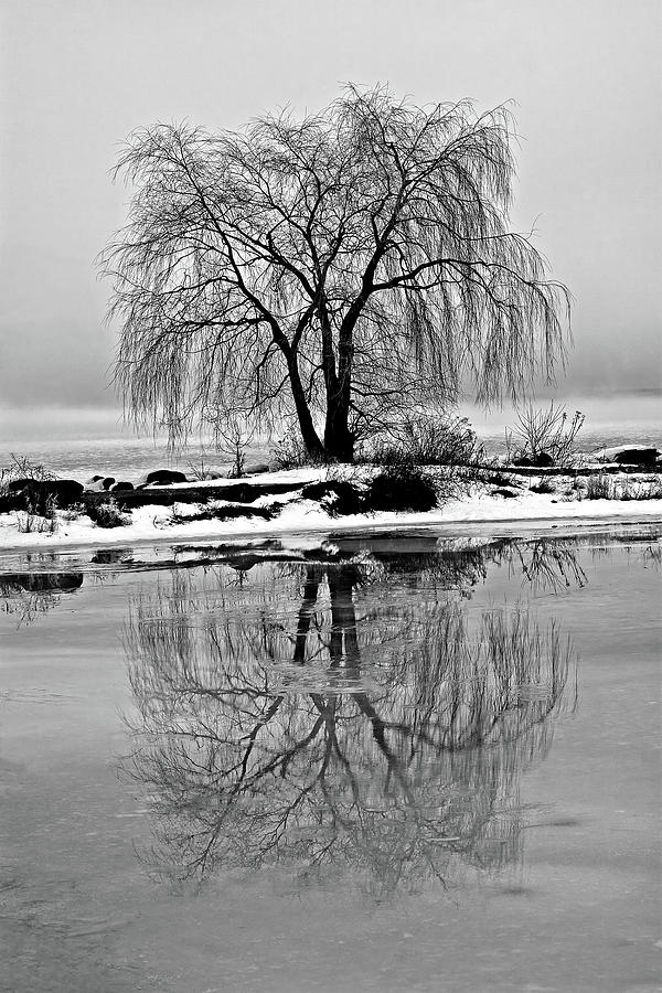 Winter reflections by Peter Pauer Winter reflections by Peter Pauer
