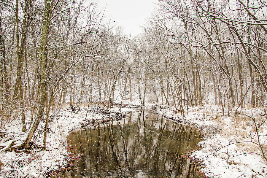 Winter Photograph - Winter Reflections by Susan Grove
