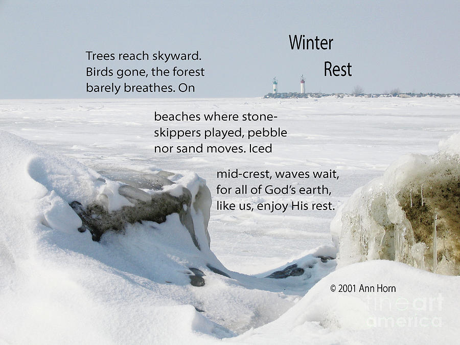 Winter Rest Photograph by Ann Horn