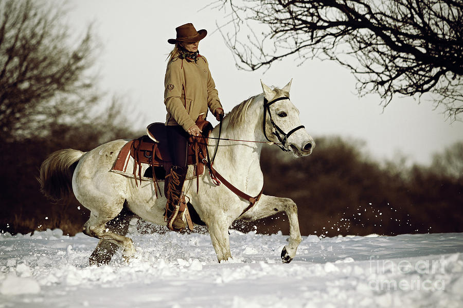 Nature Photograph - Winter Ride On The White Horse by Dimitar Hristov