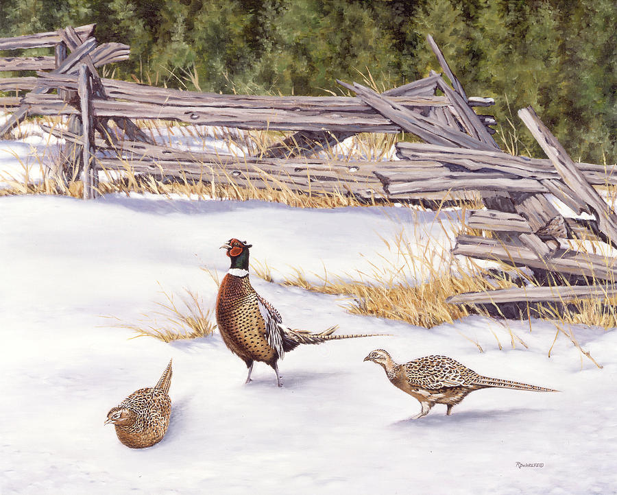 Winter Ringed-Necks Painting by Richard De Wolfe