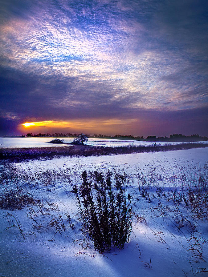 Winter Rising Photograph by Phil Koch