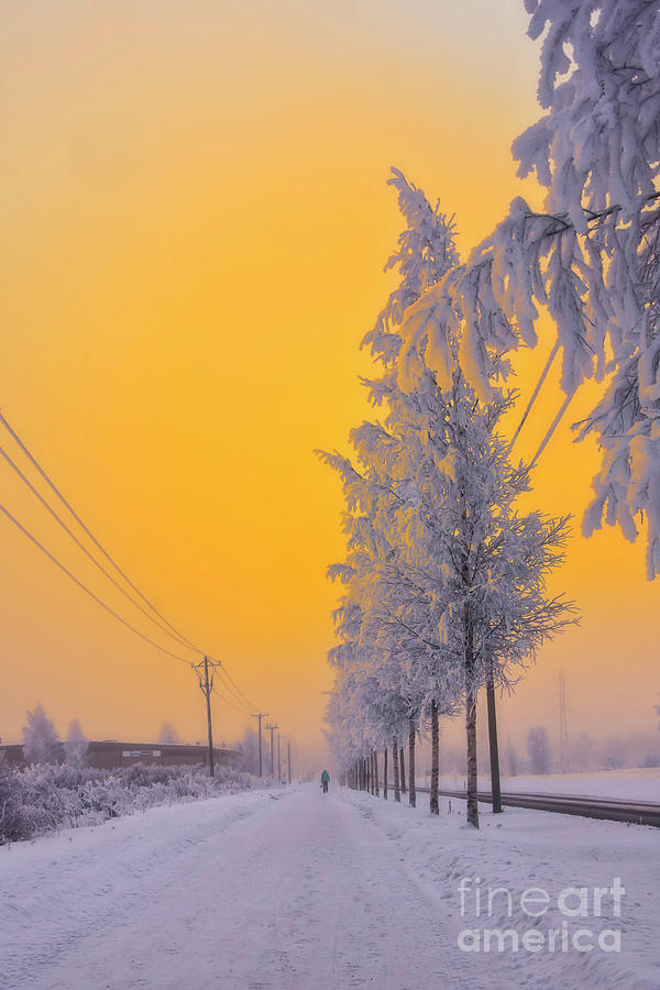 Winter Road 2 Photograph