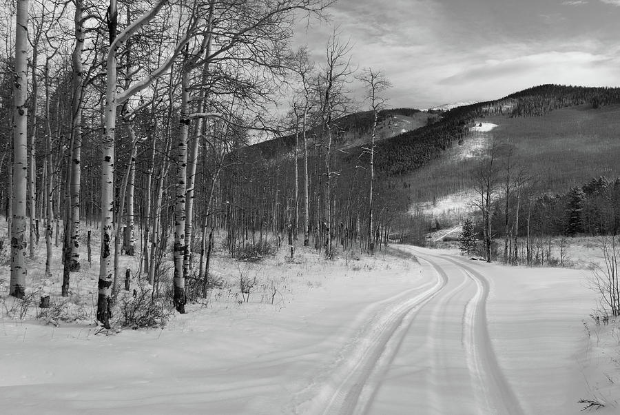 Winter Road at Kenosha Pass Photograph by Cascade Colors