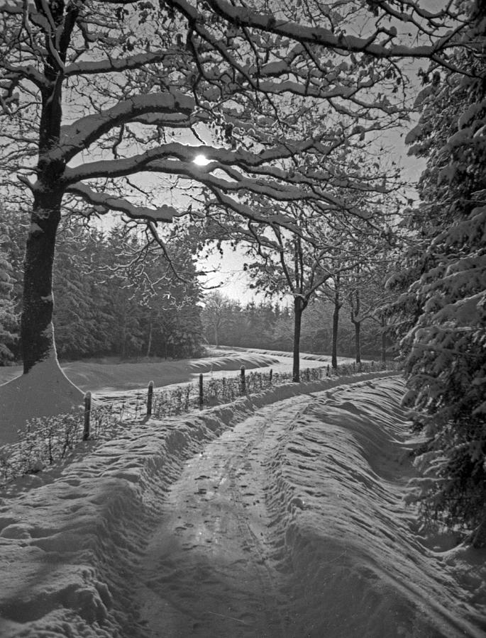 Winter Road  Christmas Card Photograph by German School
